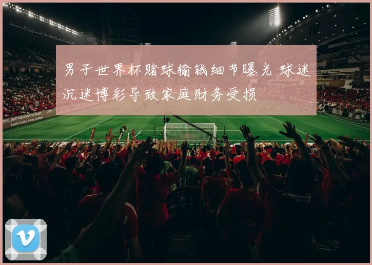 男子世界杯赌球输钱细节曝光 球迷沉迷博彩导致家庭财务受损