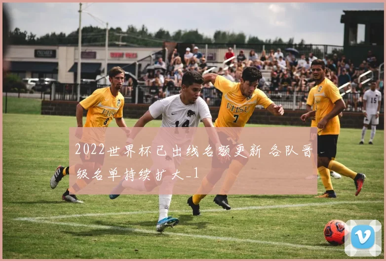 2022世界杯已出线名额更新 各队晋级名单持续扩大_1