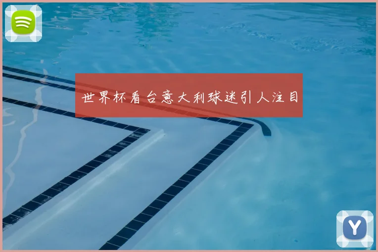 世界杯看台意大利球迷引人注目