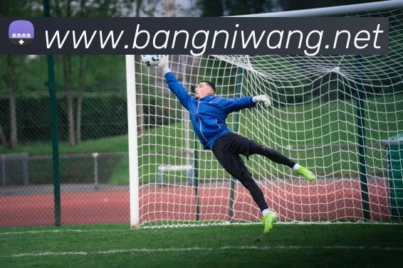 hth官网发展历程